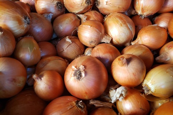 Кракен зеркало onion