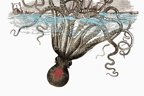 Kraken ссылка kraken link24 info