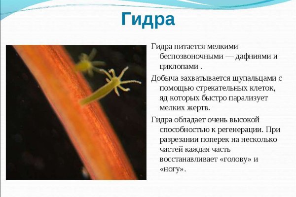 Ссылка на кракен kr2web in