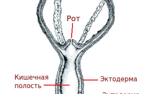 Кракен 22