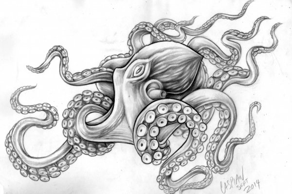 Kraken зеркало krakentor site