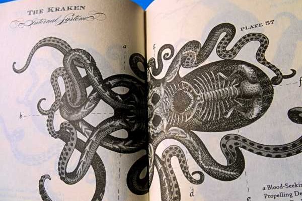 Кракен нар