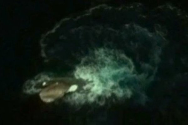 Кракен даркнет kraken link24 info