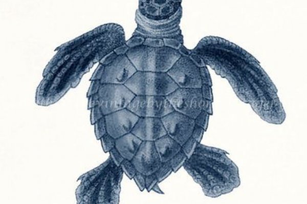 Kraken 2025 ссылка