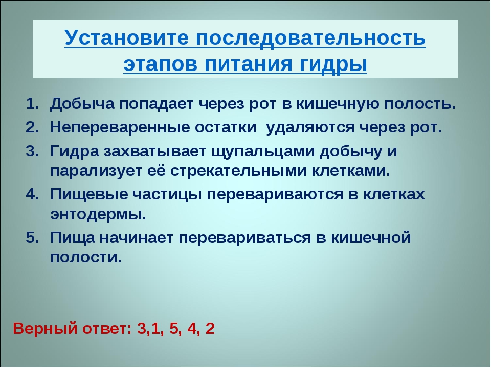 Кракен прямая ссылка