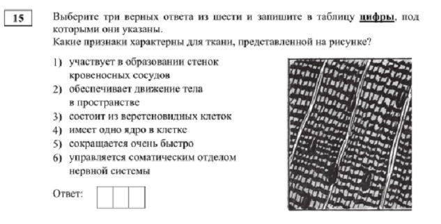 Площадки в даркнете